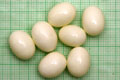 Archachatina marginata ovum Nigeria light body F1