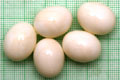 Archachatina marginata ovum Nigeria light body F1