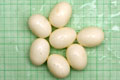Archachatina marginata ovum Nigeria typ 2 F1