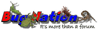 bugnation.co.uk