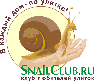 snailclub.ru