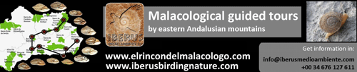 www.iberusbirdingnature.com
