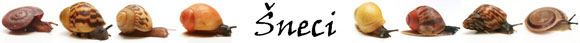 �neci