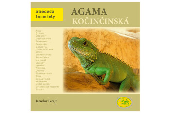 Agama kočinčinská