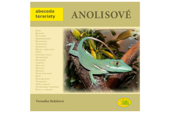 Anolisové