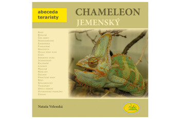 Chameleon jemenský