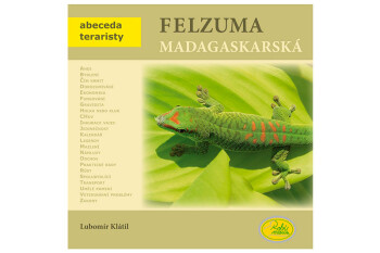 Felsuma madagaskarská