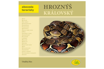 Hroznýš královský