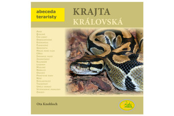 Krajta královská