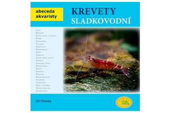 Krevety sladkovodní