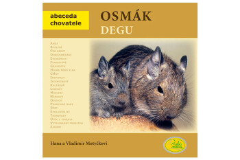 Osmák degu