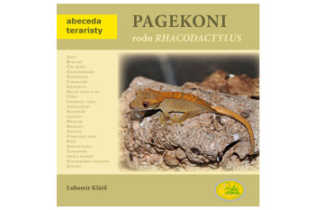 Pagekoni rodu Rhacodactylus