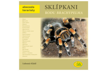 Sklípkani rodu Brachypelma