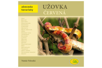 Užovka červená