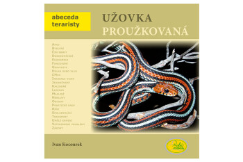 Užovka proužkovaná