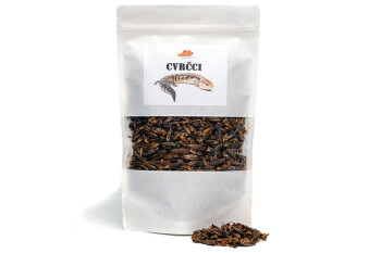 Crickets 1000 ml