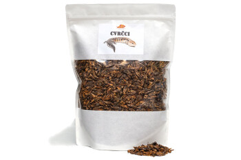 Crickets 3000 ml