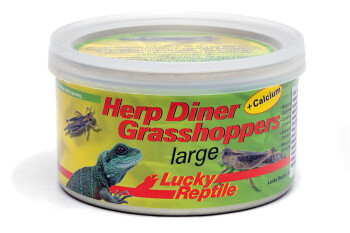 Grasshoppers 20 biger 35 g