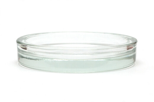 Glass Bowl Shallow