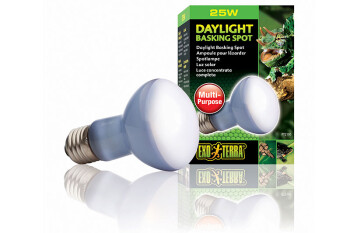 Heating lamps Daylight 25W Basking Spot Exo Terra