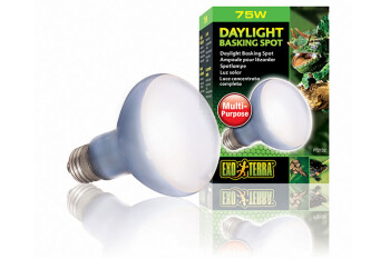 Heating lamps Daylight 75W Basking Spot Exo Terra