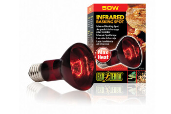 Heating lamps Infrared 50W Basking Spot Exo Terra