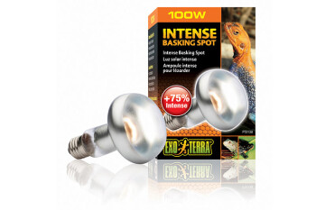 Heating lamps Intense 100W Basking Spot Exo Terra