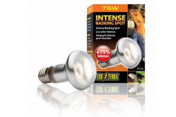 Heating lamps Intense 75W Basking Spot Exo Terra