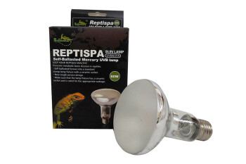 Bulb 80W UVB small ReptiSpa