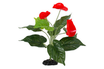 Artificial Anthurium flowering plant