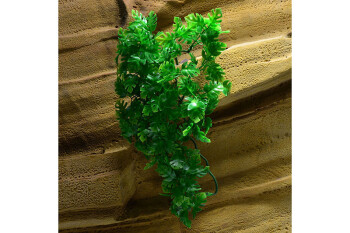 Artificial plant Amazonian Phyllo medium