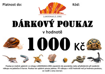 Gift voucher 1000 Kč