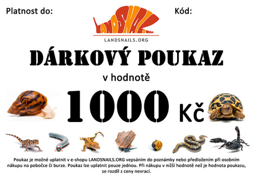 Dárkový poukaz 1000 Kč