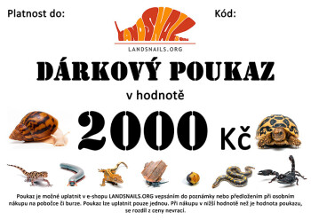 Gift voucher 2000 Kč