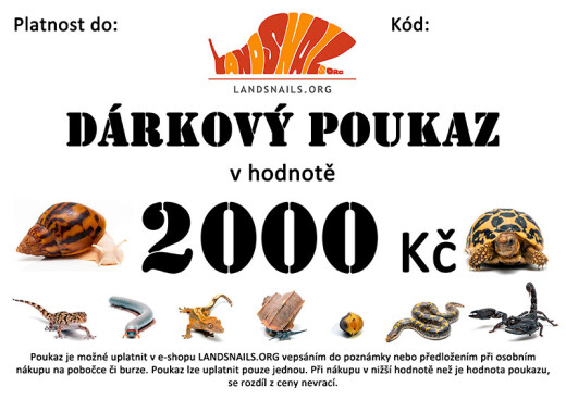 Dárkový poukaz 2000 Kč