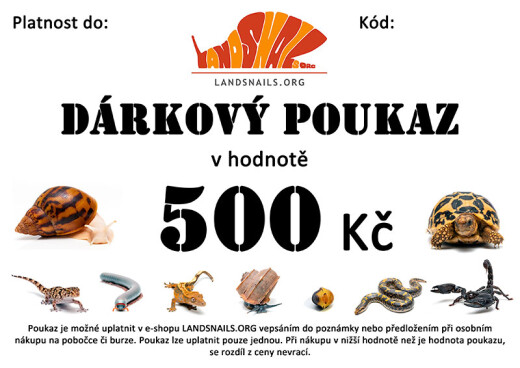 Dárkový poukaz 500 Kč