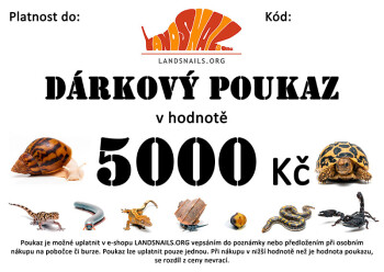 Gift voucher 5000 Kč