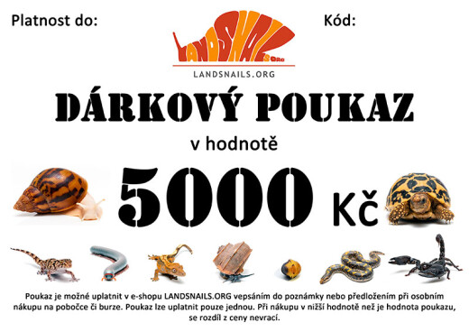 Dárkový poukaz 5000 Kč