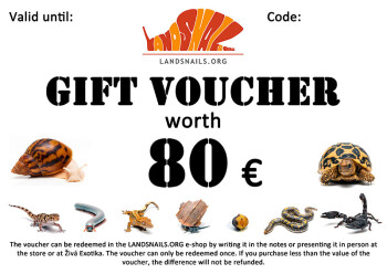 Gift voucher 80 €