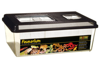 ExoTerra Faunarium low 23l