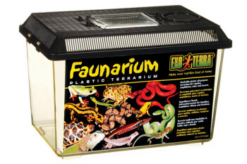 ExoTerra Faunarium middle 11l