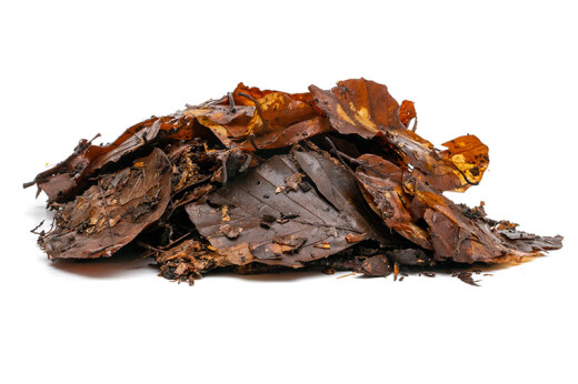 Rotting beech leaf litter 2.5 l.