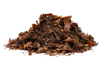 Shredded rotting beech leaf litter 2.5 l.