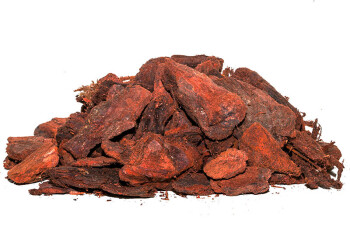 Umbrella Pine Bark 15 - 25 mm 2.5 l.