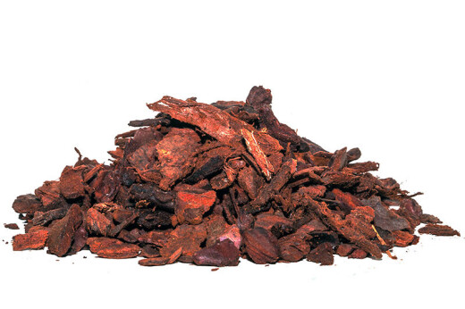 Umbrella Pine Bark 8 - 15 mm 2.5 l.