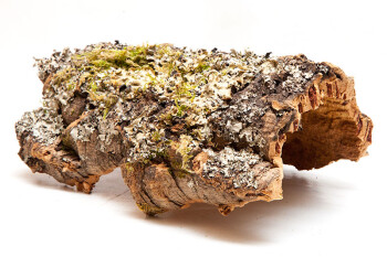 Cork Bark Small