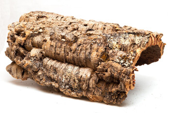 Cork Bark Large