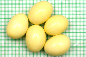 snůška Archachatina marginata ovum 2 Nigeria