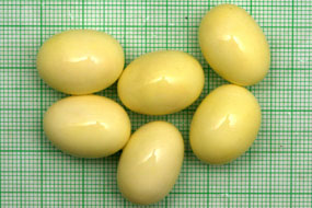 snůška Archachatina marginata ovum Nigeria typ 2