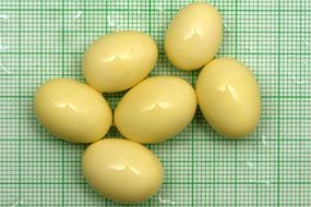 snůška Archachatina marginata suturalis 2 Nigeria